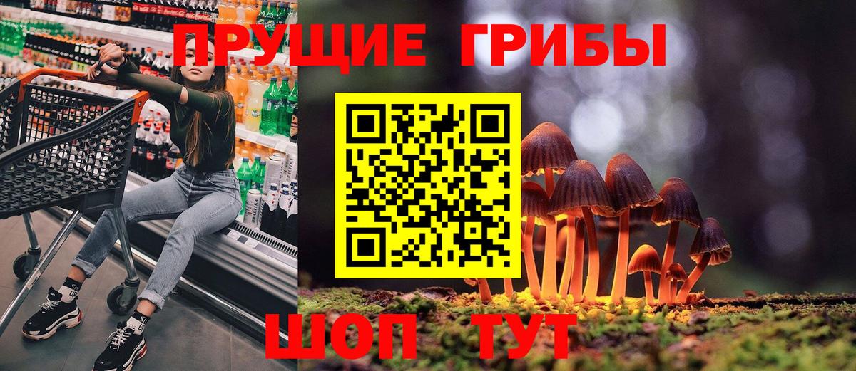 Псилоцибиновые грибы MAGIC MUSHROOMS Бугуруслан